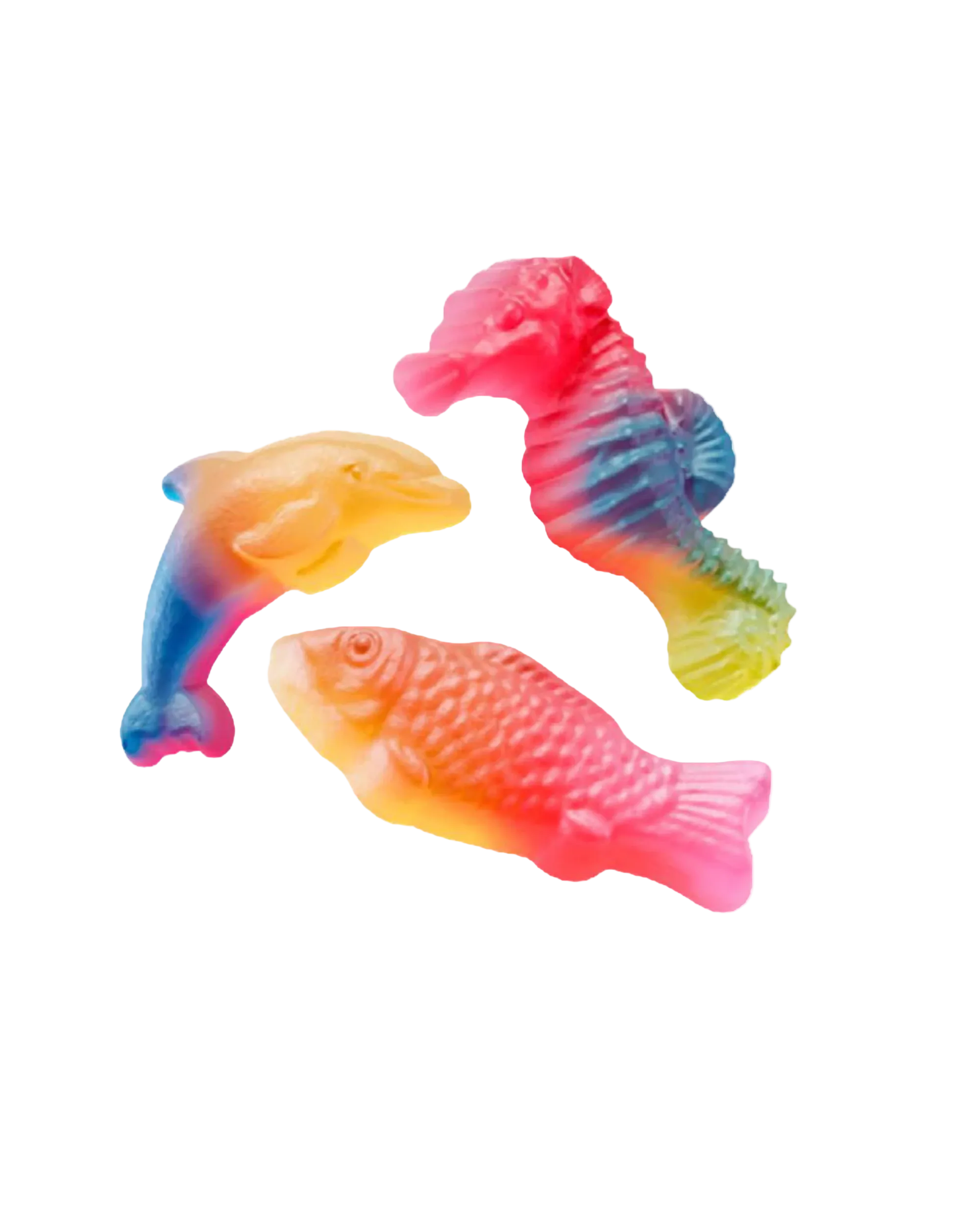 Rainbow Sea